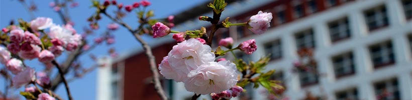 LinMao's Blog（林茂的博客）